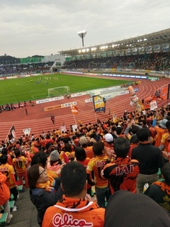 IMAG0141.jpg